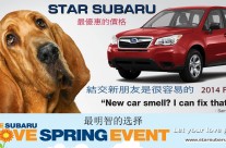 Subaru March Chinese mailer